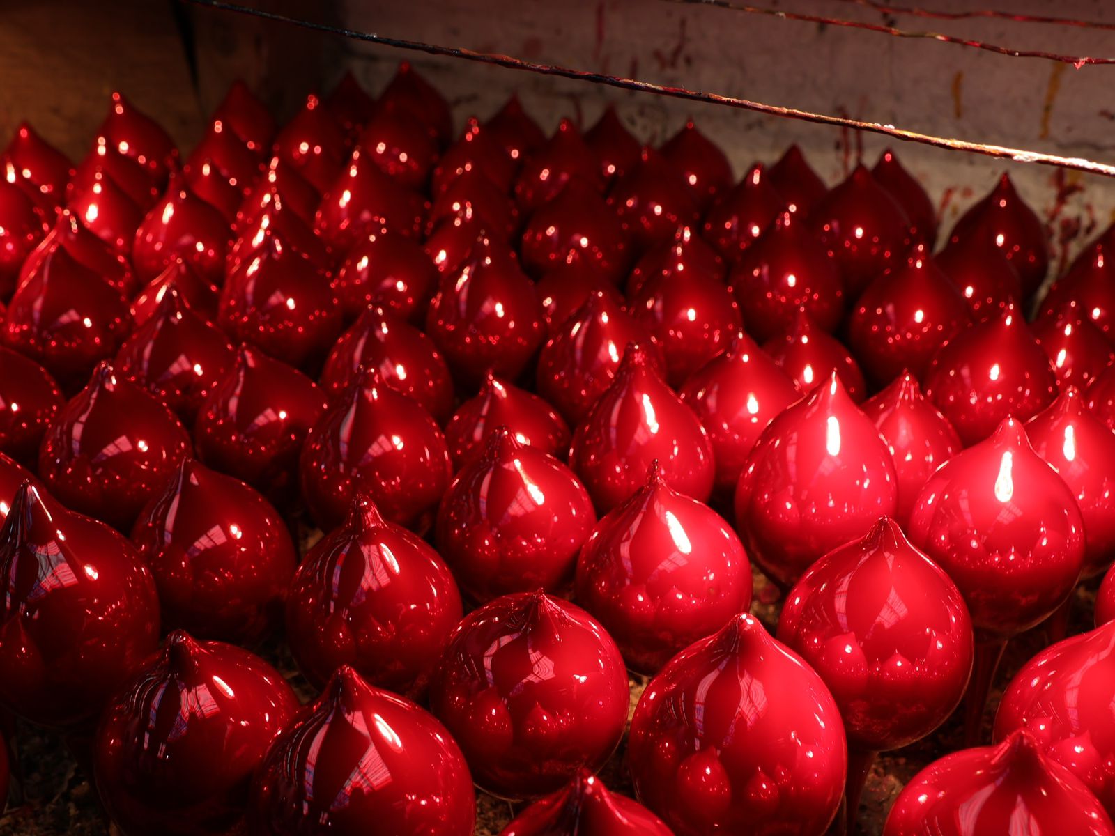 WhatsApp Image 2025-11-18 at 8.54.55 AM