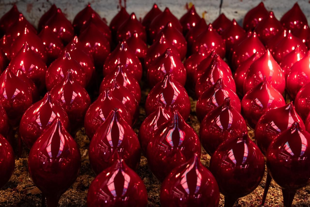 WhatsApp Image 2025-12-15 at 11.41.42 AM