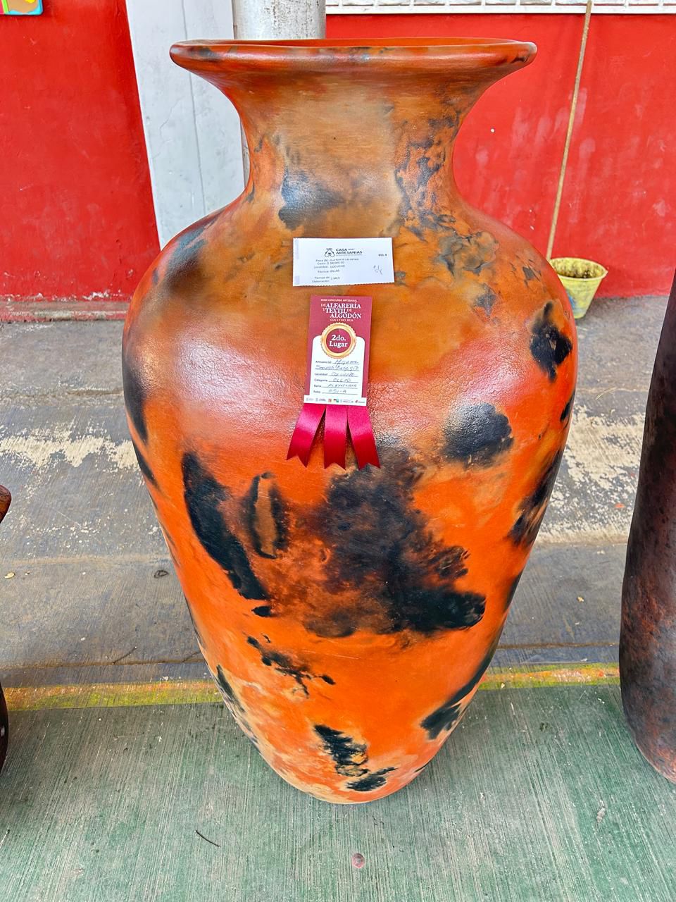 WhatsApp Image 2026-01-28 at 2.30.52 PM (3)