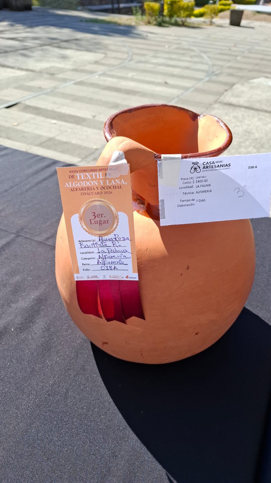 WhatsApp Image 2026-02-11 at 2.45.18 PM (1)