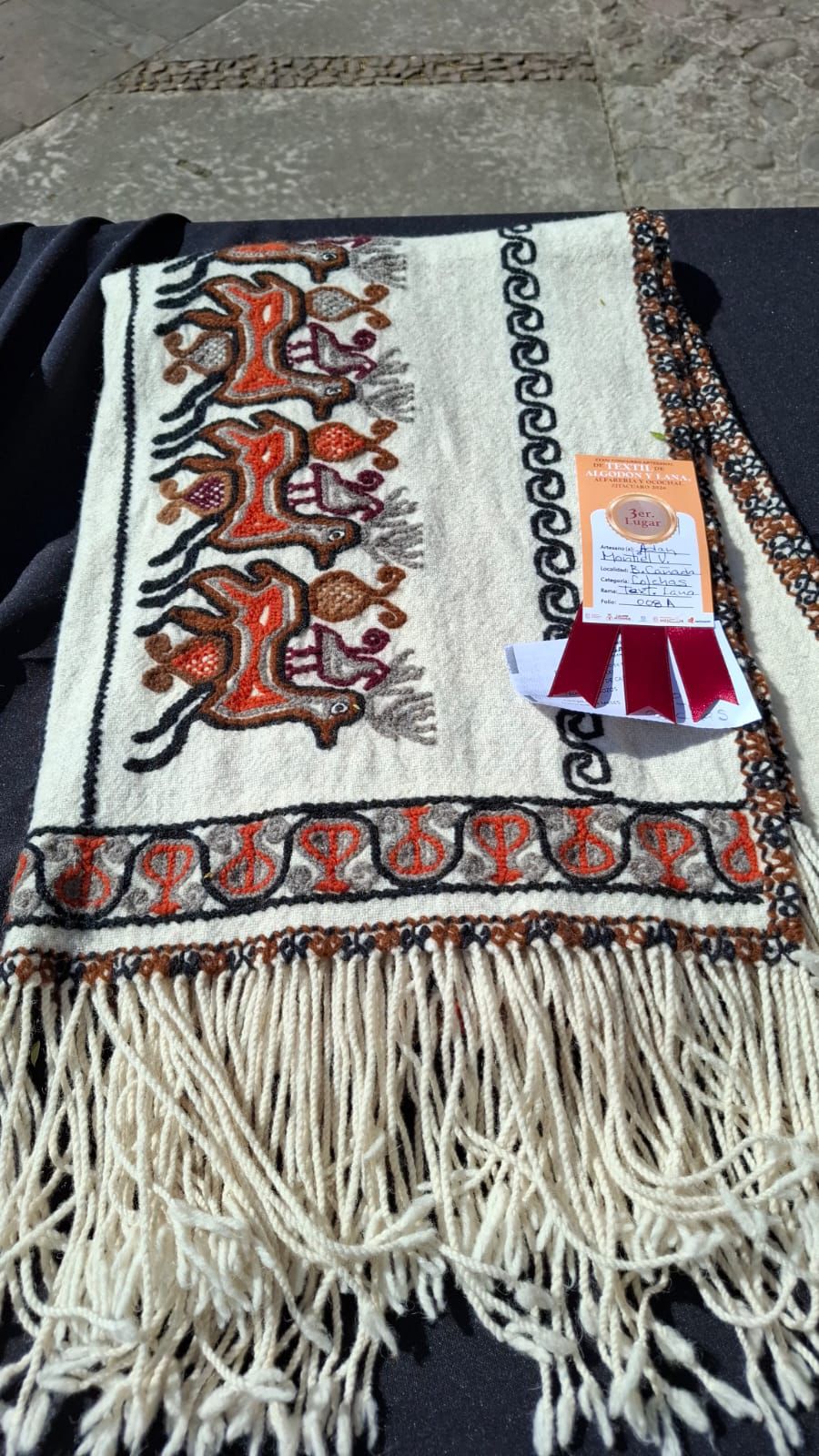 WhatsApp Image 2026-02-11 at 2.45.19 PM (1)