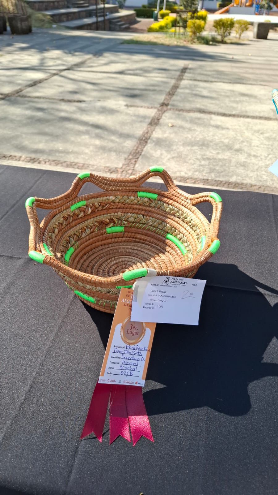 WhatsApp Image 2026-02-11 at 2.45.19 PM