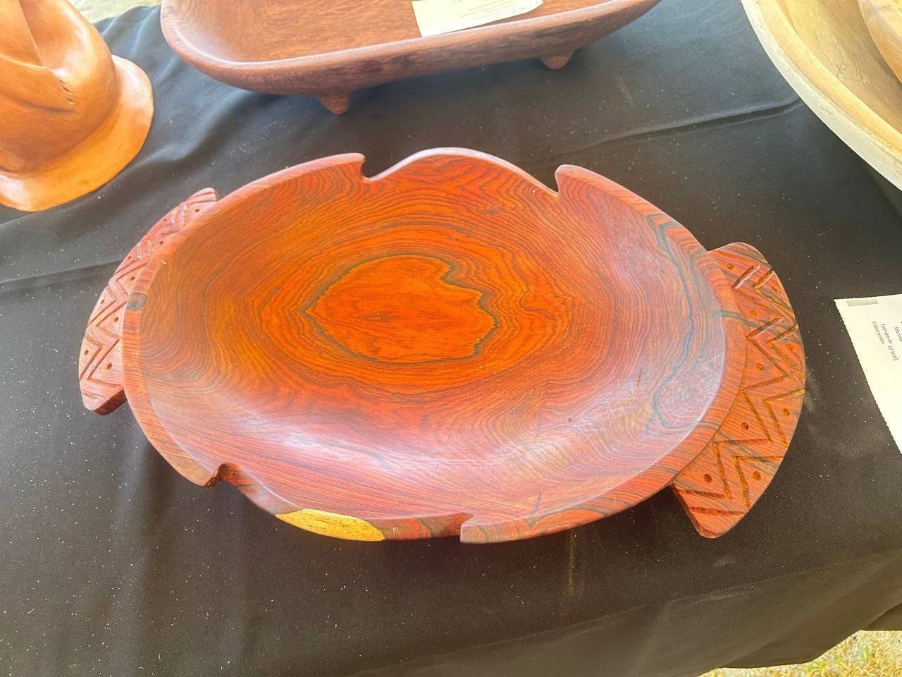 WhatsApp Image 2026-03-17 at 2.29.58 PM